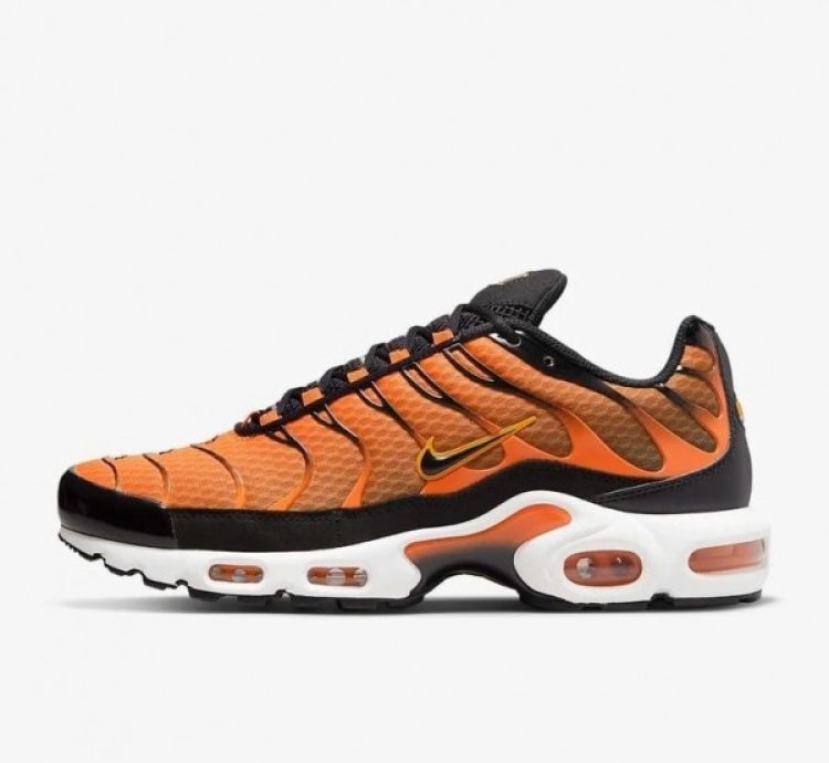 Nike Air Max Plus Sunset Running Shoes