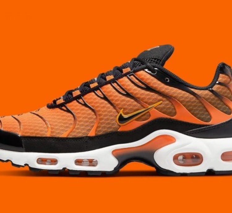 Nike Air Max Plus Sunset Running Shoes