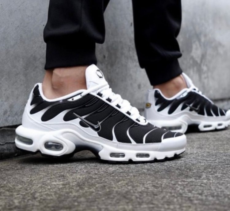 Nike Air Max Plus Tn Killer Whale Running Shoes