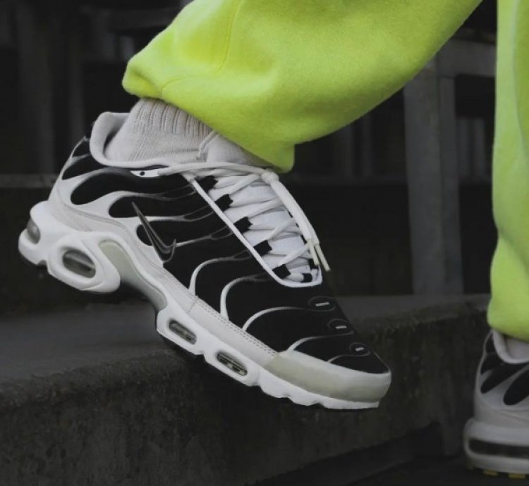 Nike Air Max Plus Tn Killer Whale Running Shoes