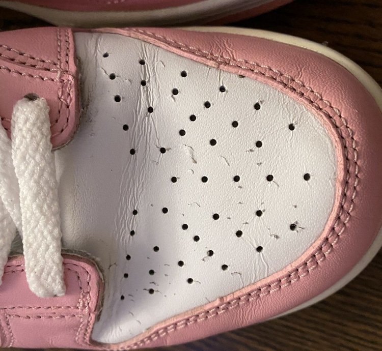 Vintage 2005 Nike Dunk Low Real Pink White-pink