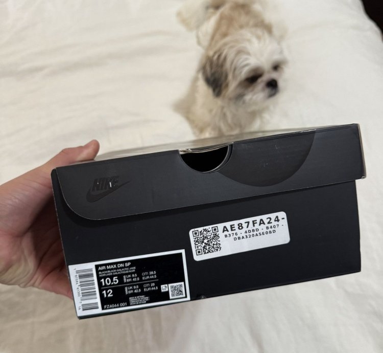 Supreme Air Max Dn Black Galactic Jade