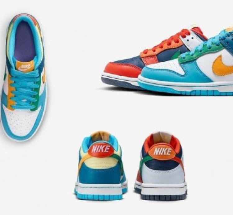 Nike Dunk Low Bg What The Multi Color Sneakres
