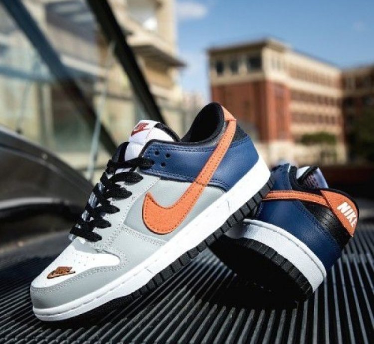 Nike Dunk Low Ekin White Neutral Grey Orange Sneakers
