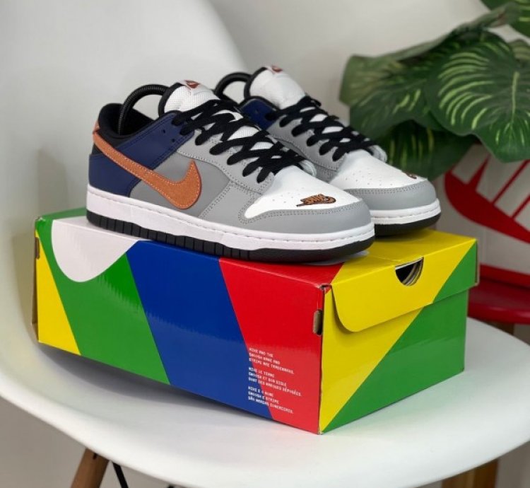 Nike Dunk Low Ekin White Neutral Grey Orange Sneakers