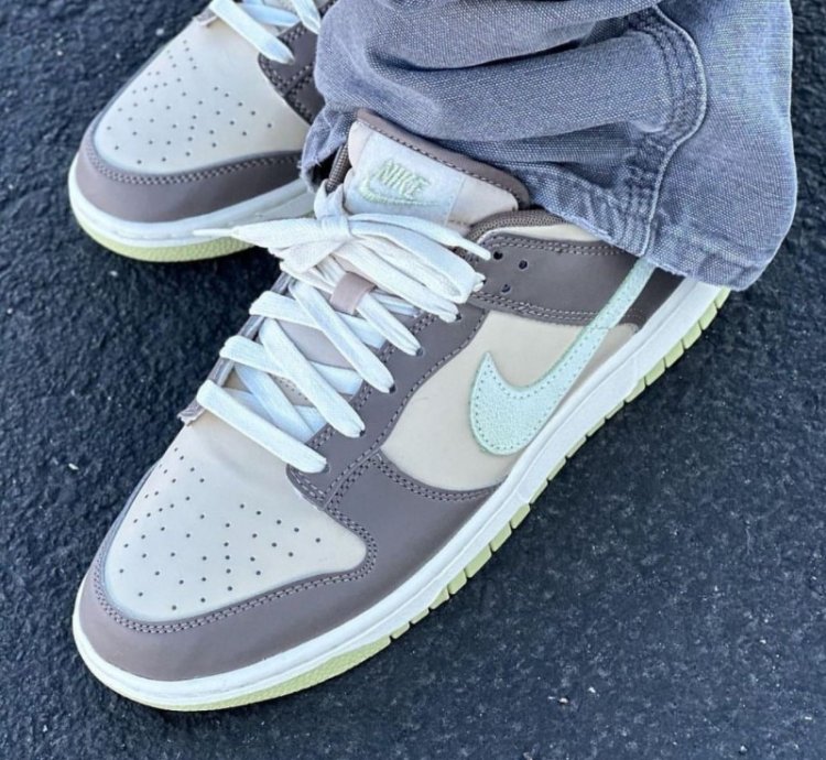 Nike Sb Dunk Low Velcro Tongue Sneakers