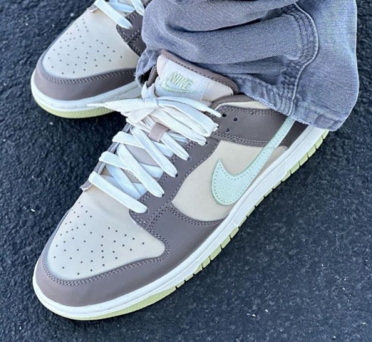 Nike Sb Dunk Low Velcro Tongue Sneakers