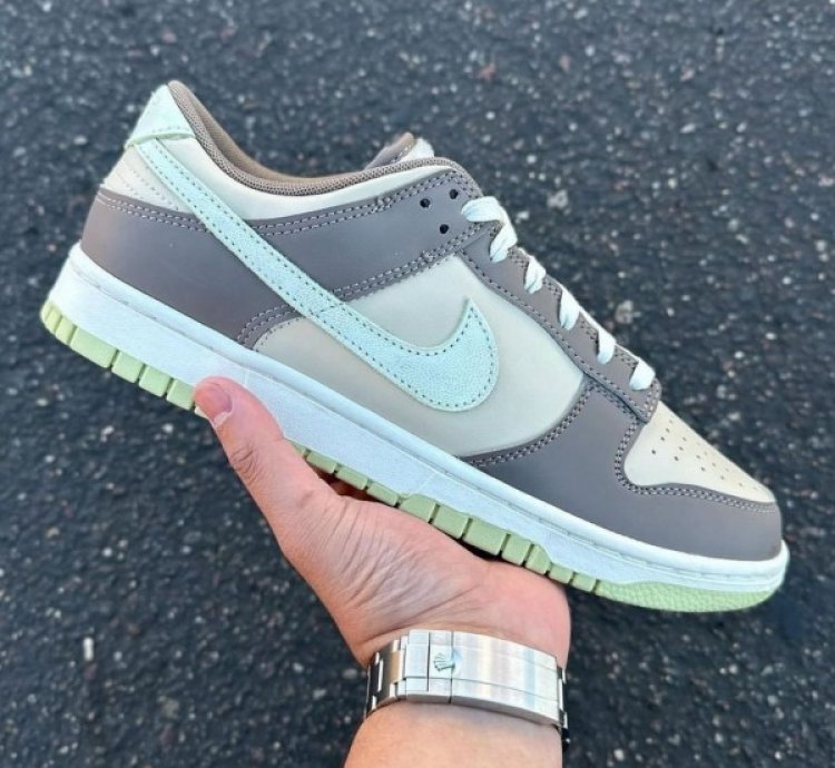 Nike Sb Dunk Low Velcro Tongue Sneakers