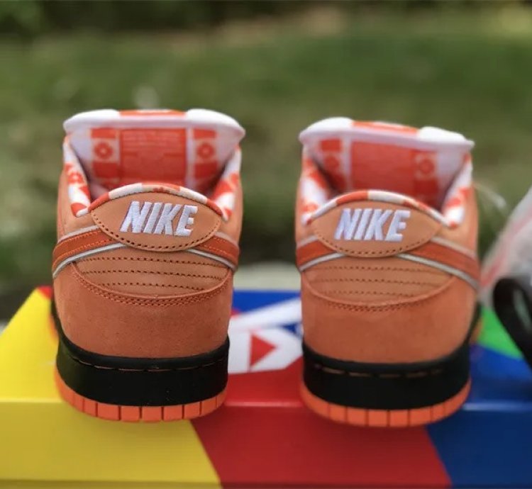 Nike Sb Dunk Low Concepts Orange Lobster