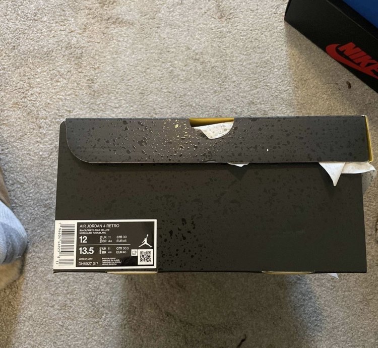 Air Jordan 4 Thunder 2023