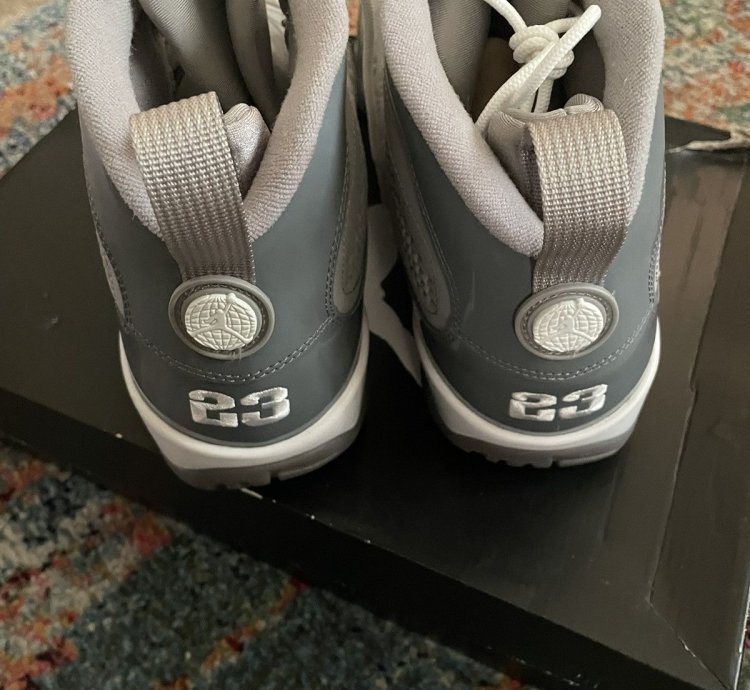 Air Jordan 9 Cool Grey