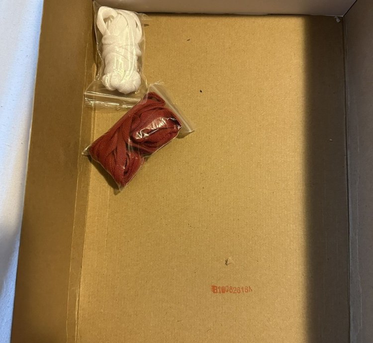 2016 Jordan 1 Bred Banned