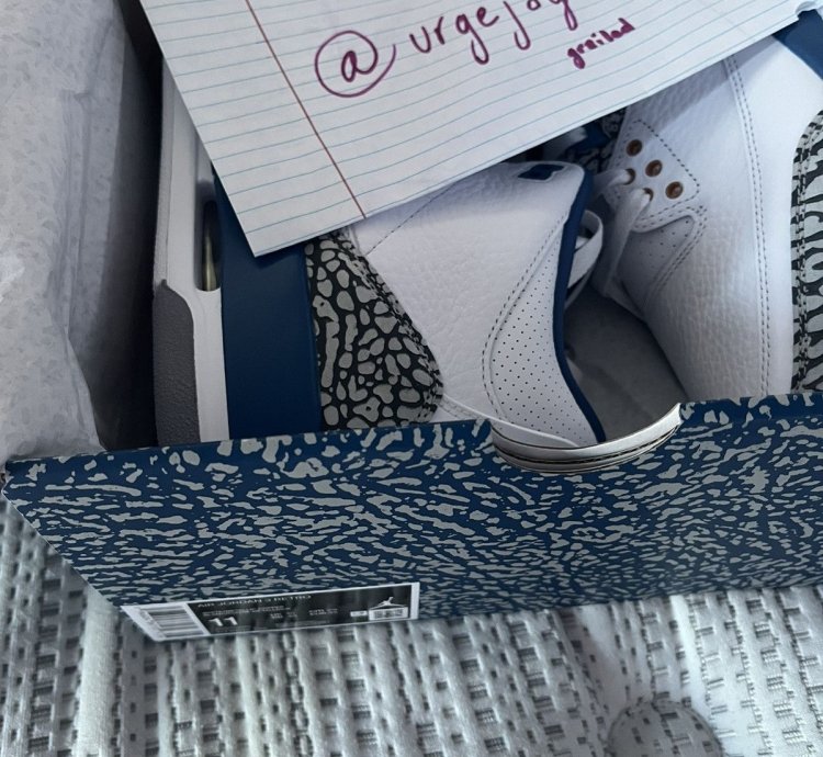 Air Jordan Retro 3 Wizards