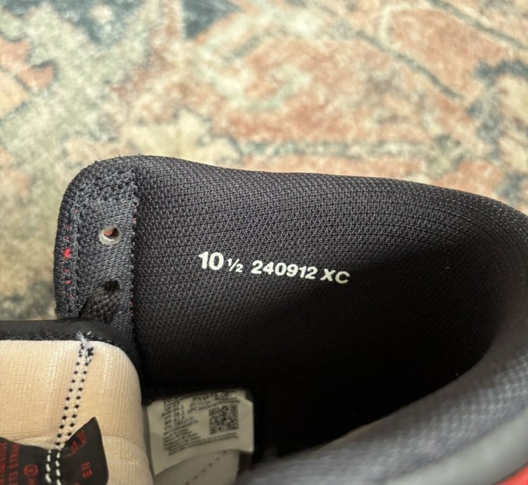 2025 Bred Jordan 1