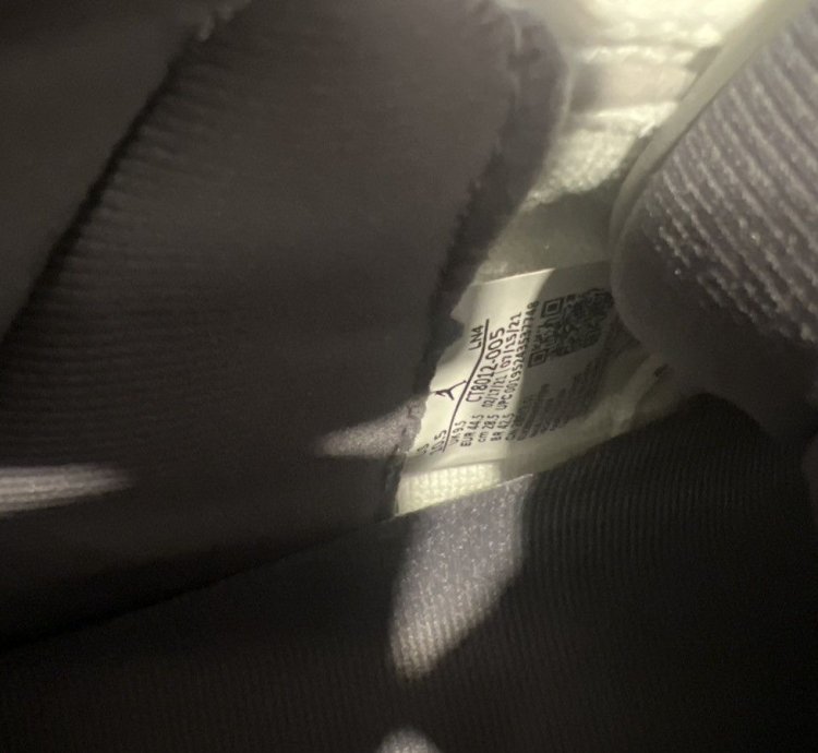 Cool Grey Jordan 11
