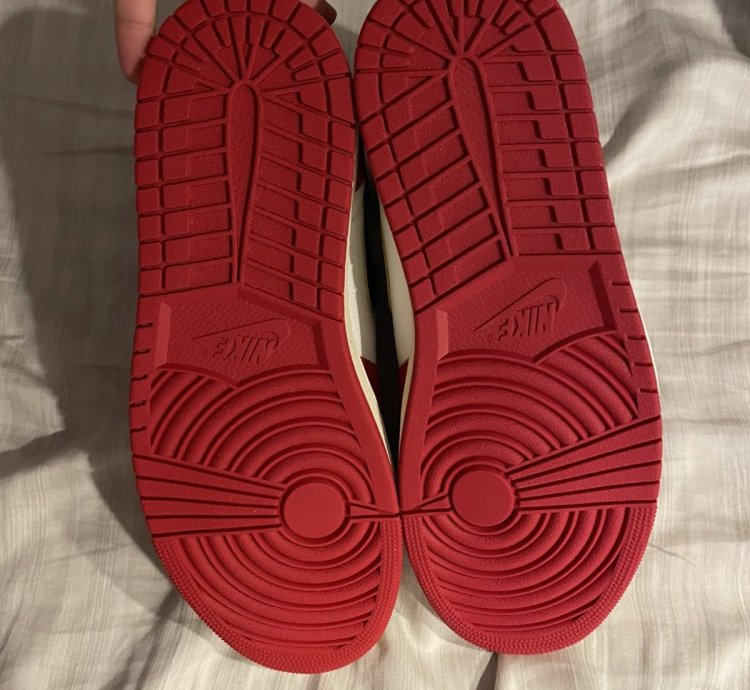 Union Jordan 1 Chicago Shadow