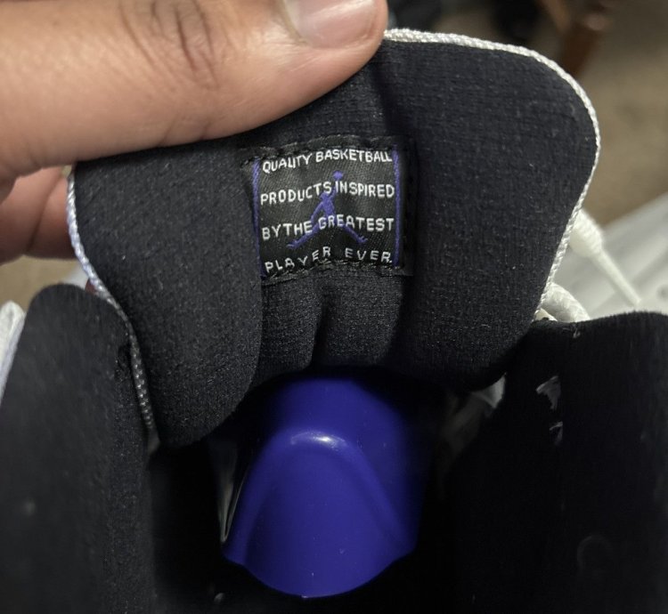 Air Jordan 11 Concords 2018