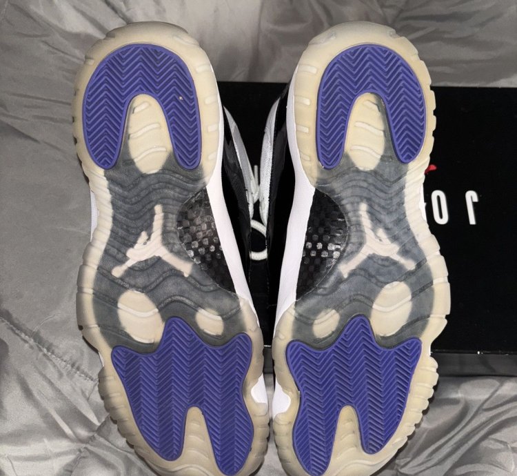 Air Jordan 11 Concords 2018