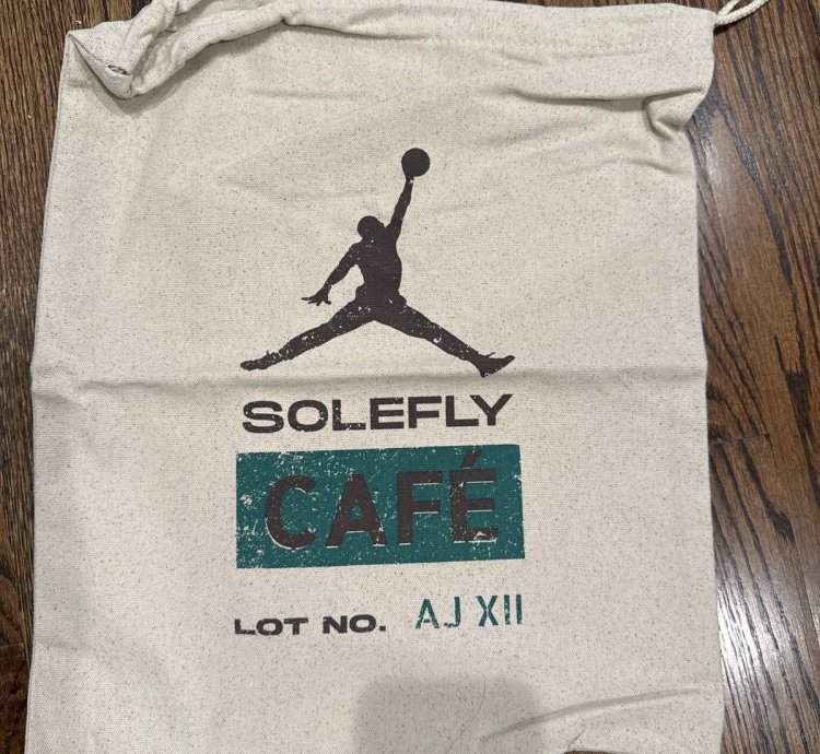 Air Jordan 12 Solefly