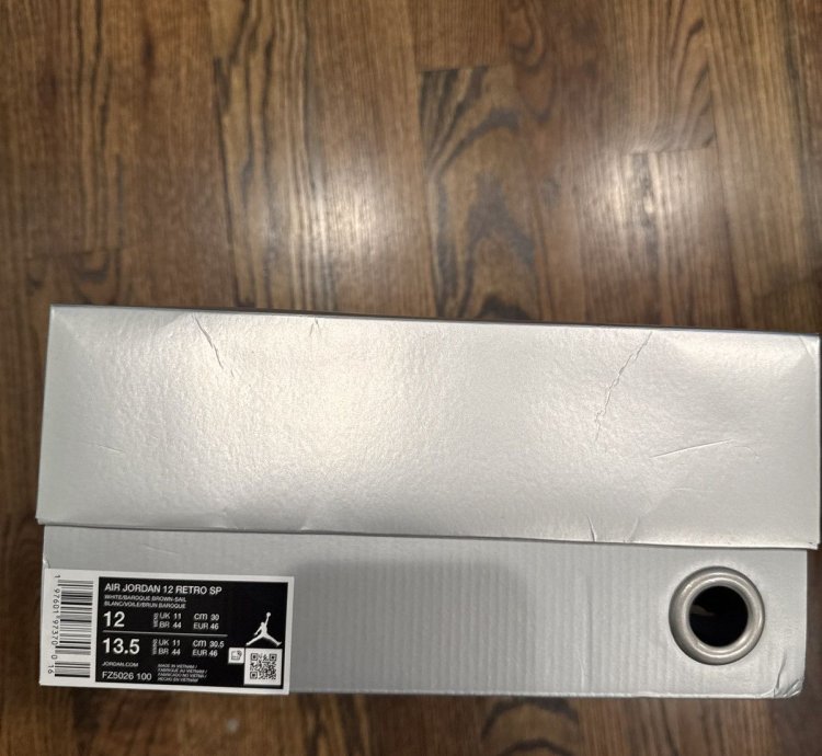 Air Jordan 12 Solefly