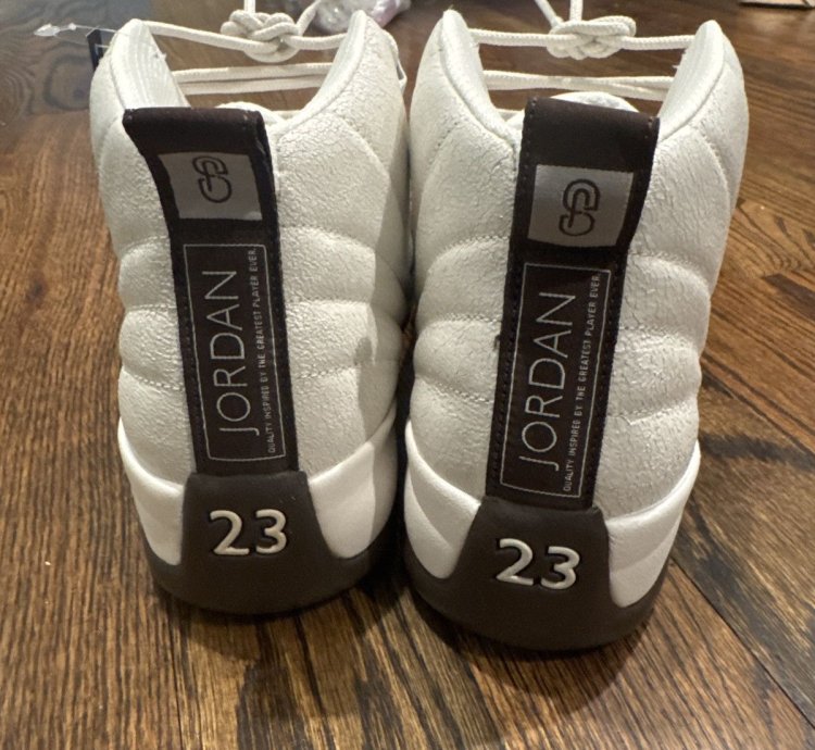 Air Jordan 12 Solefly