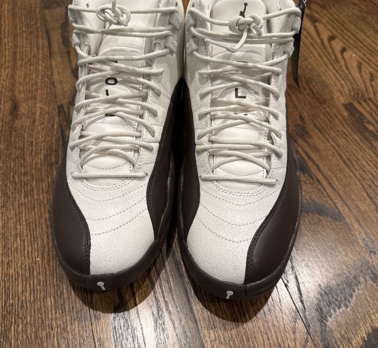 Air Jordan 12 Solefly