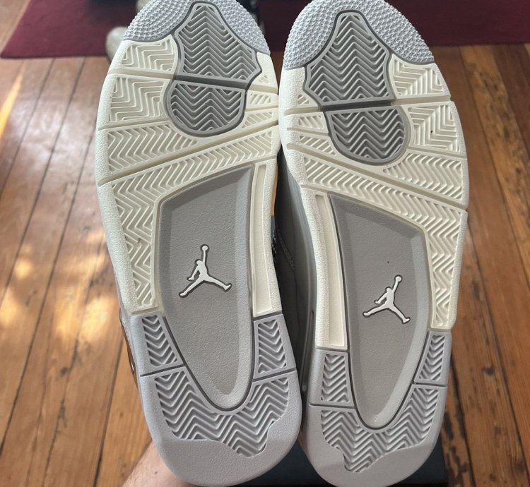 Jordan 4 Frozen Moments Ds