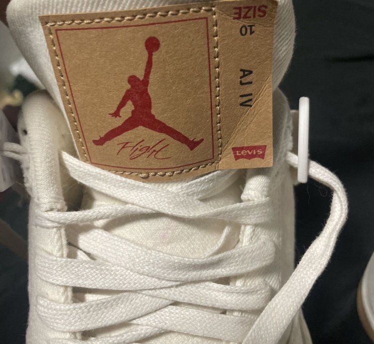 Jordan 4 Levi