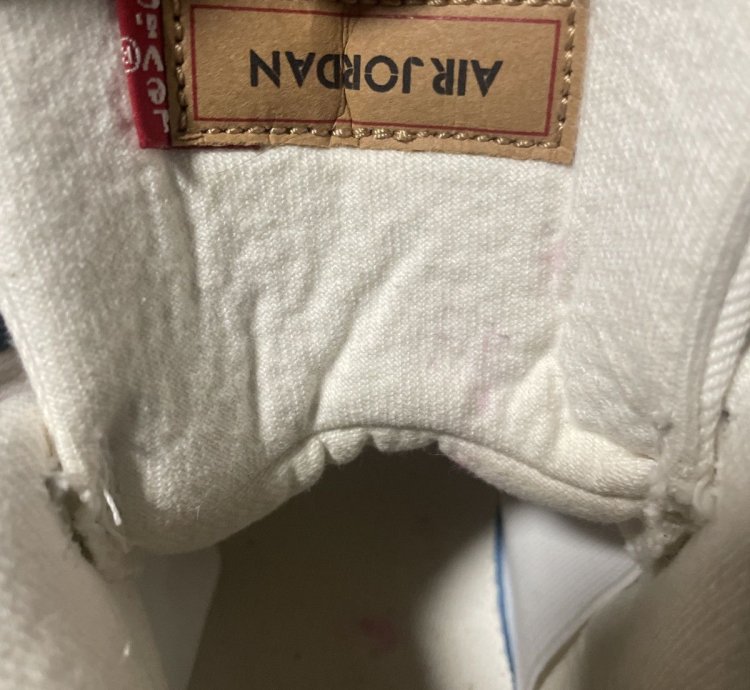 Jordan 4 Levi