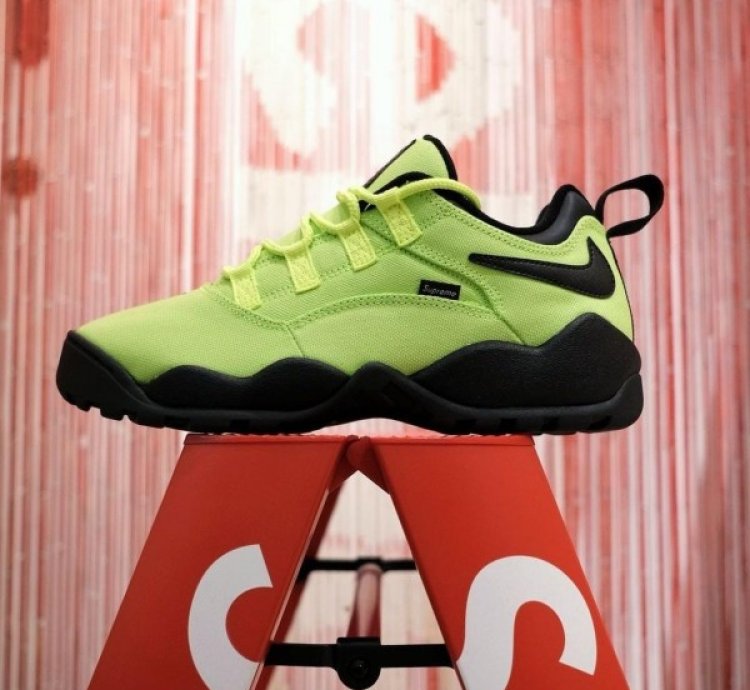Suprem E X Nik E Sb Air Darwin Low Volt Sneakers