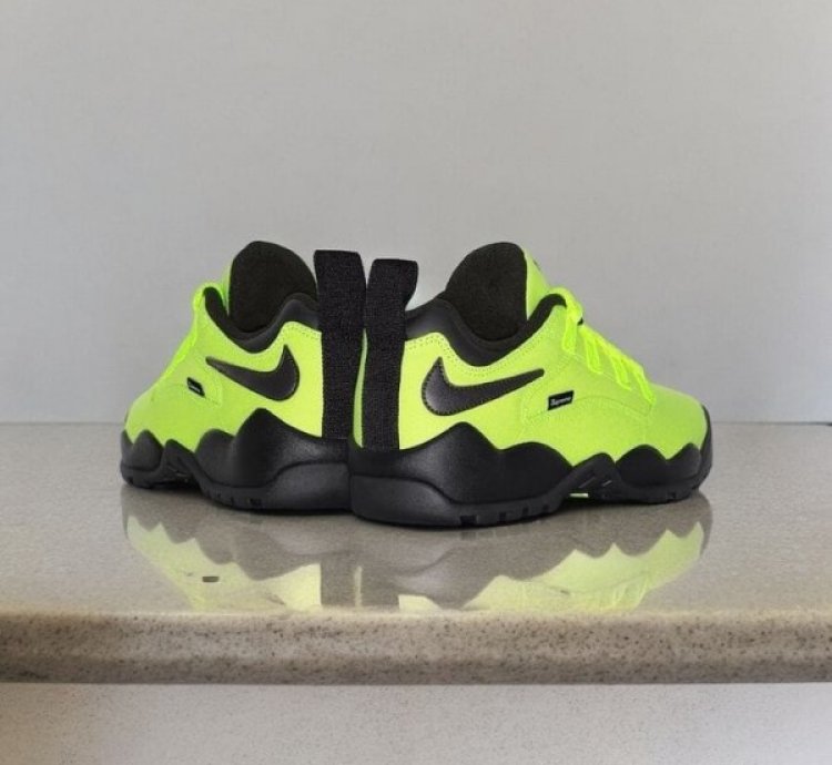 Suprem E X Nik E Sb Air Darwin Low Volt Sneakers