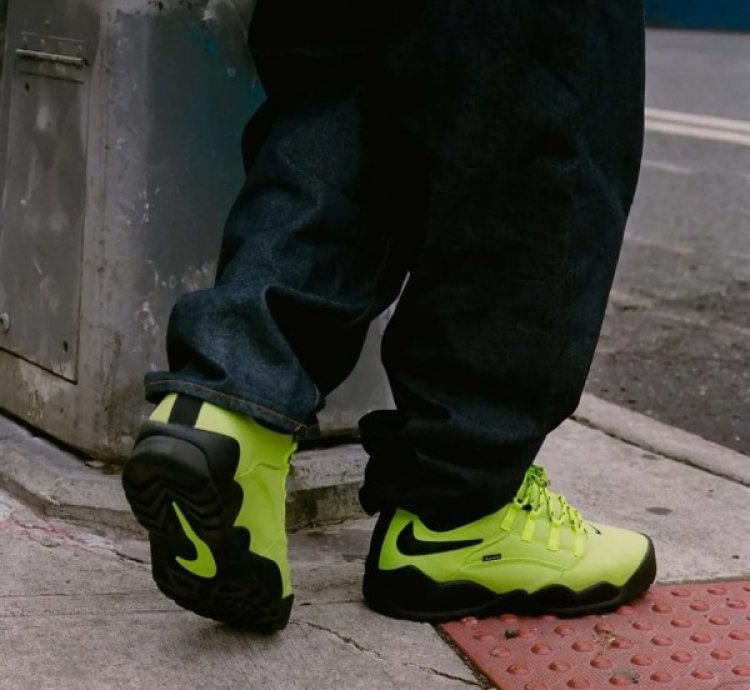 Suprem E X Nik E Sb Air Darwin Low Volt Sneakers