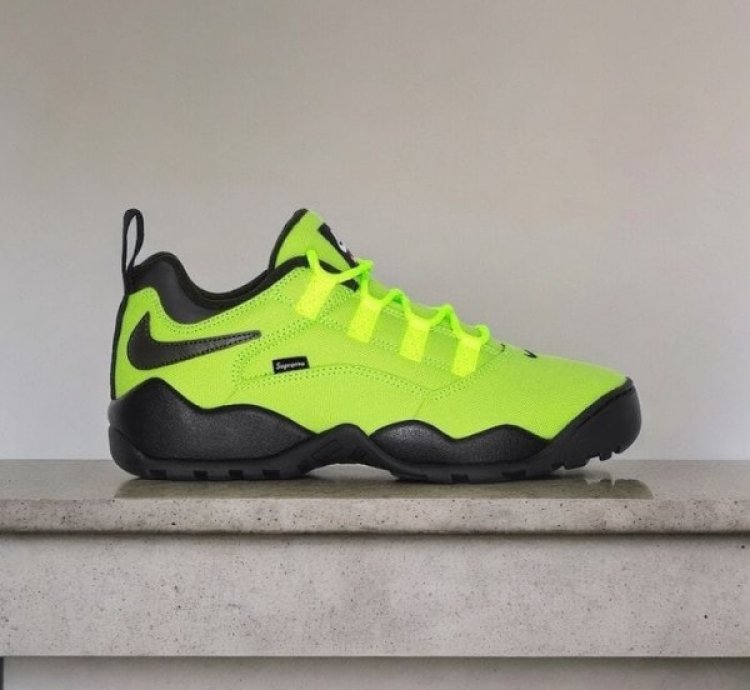 Suprem E X Nik E Sb Air Darwin Low Volt Sneakers