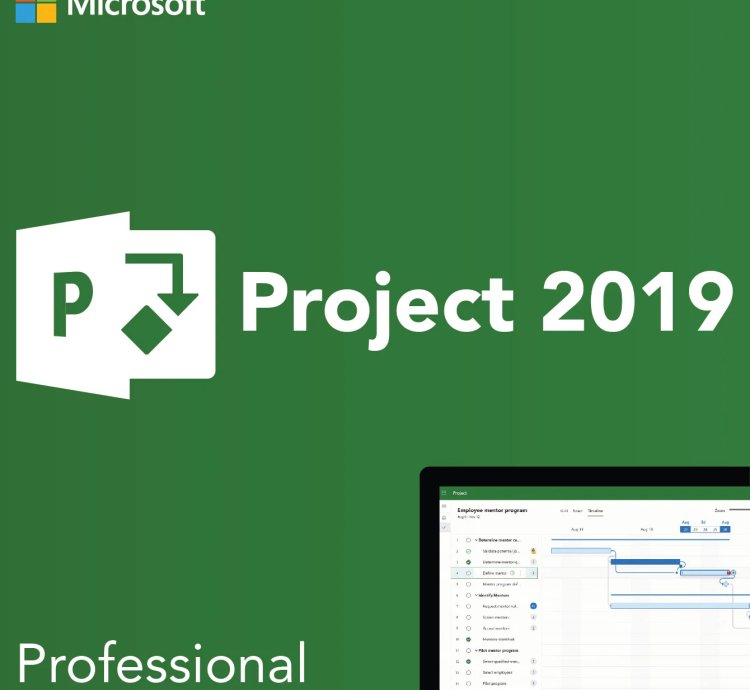 Microsoft Project 2019 Professional
