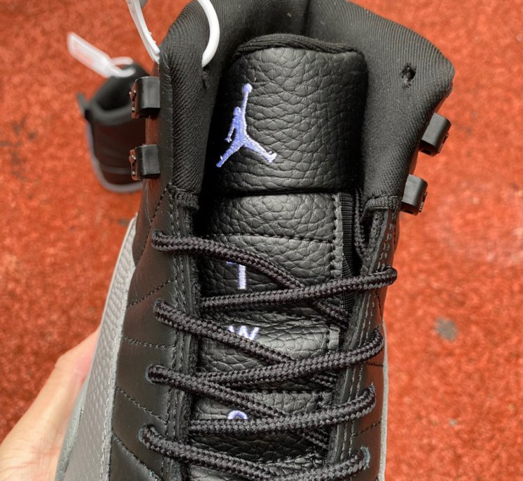 Nike Air Jordan 12 Black Wolf