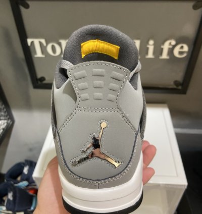 Jordan 4 Retro Cool Grey (2019) 308497-007