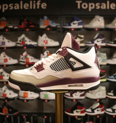 Air Jordan 4 PSG CZ5624-100