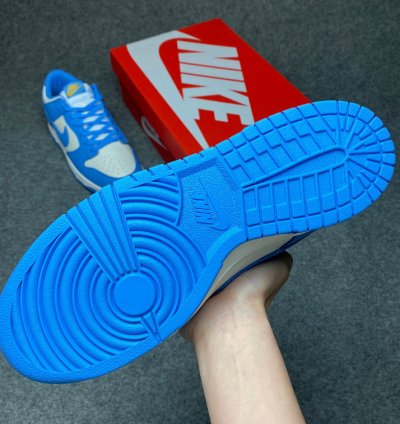 Nike Dunk Low Coast