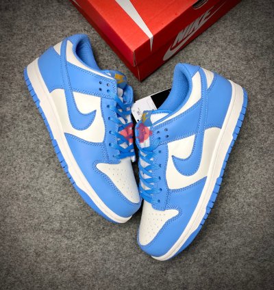 Nike Dunk Low Coast