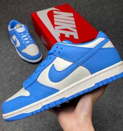 Nike Dunk Low Coast