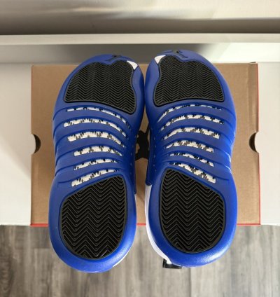 Air Jordan 12 Retro Blueberry