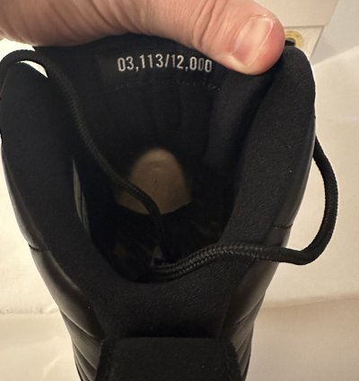 Air Jordan 12 Retro WINGS