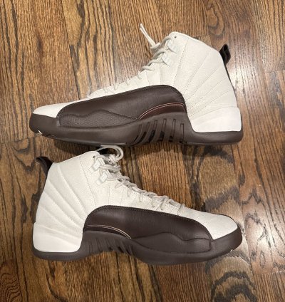 Air Jordan 12 Solefly