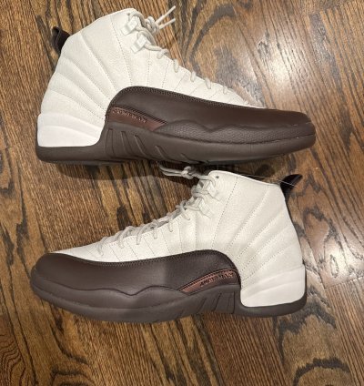 Air Jordan 12 Solefly