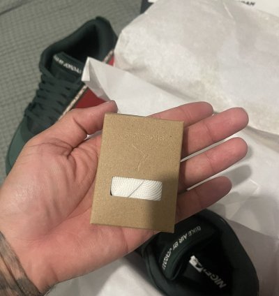 Air Jordan 4 RM SP Nigel Sylvester