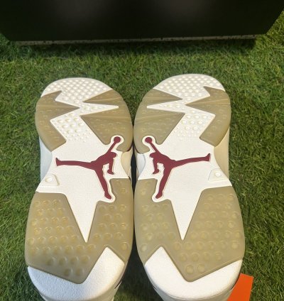 DS Jordan 6 Maroon