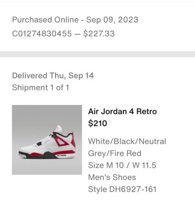 DS Size 10 - Nike Air Jordan Retro 4 Red Cement