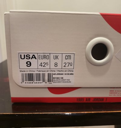 Jordan 1 Retro High Nigel Sylvester