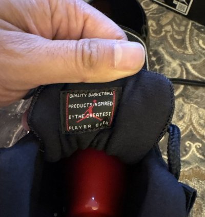 Jordan 11 Retro Playoffs Bred (2019)