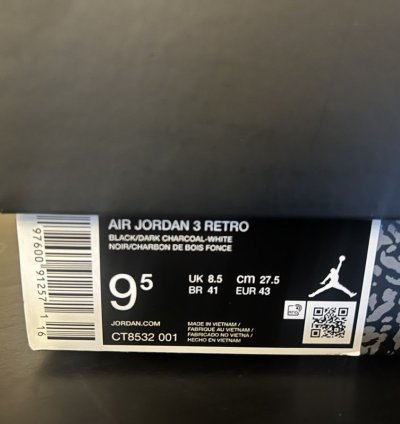 Jordan 3 black cat 9 5